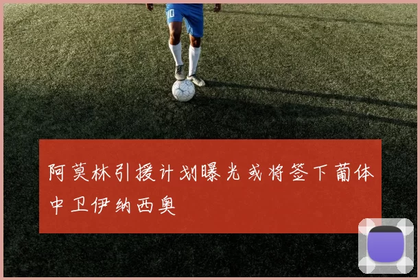 阿莫林引援计划曝光或将签下葡体中卫伊纳西奥